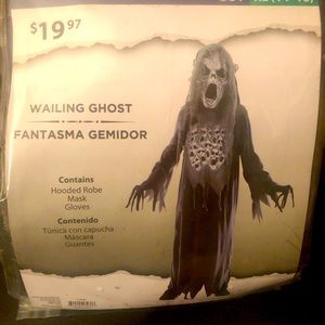 Wailing Ghost Costume